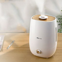 屋里有了加濕器，冬天再干也不怕